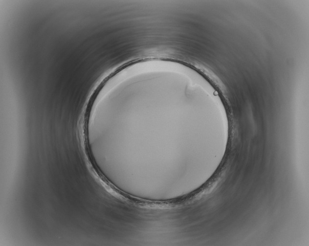 X0000111820941200909031448