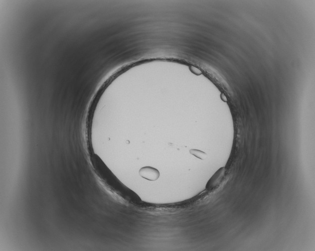 X0000111820942200909031448