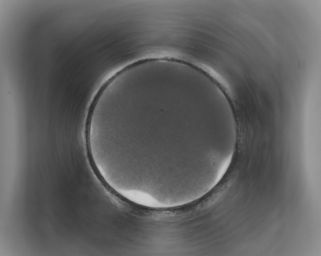 X0000111820943200909031448