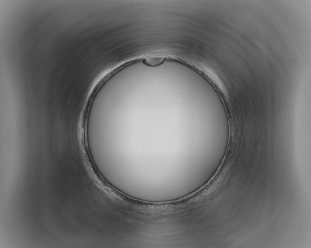 X0000111820944200909031448