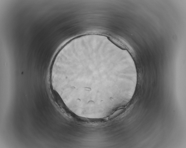 X0000111820948200909031448