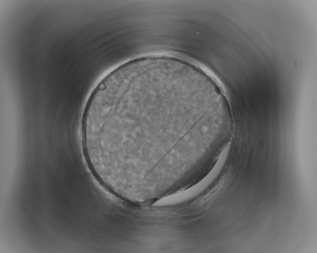 X0000111820951200909031448