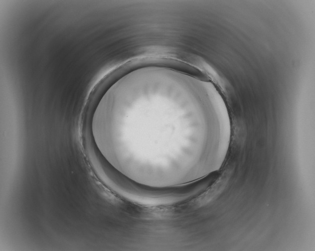 X0000111820952200909031448