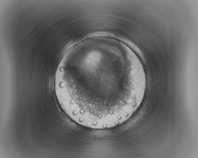 X0000111820953200909031448