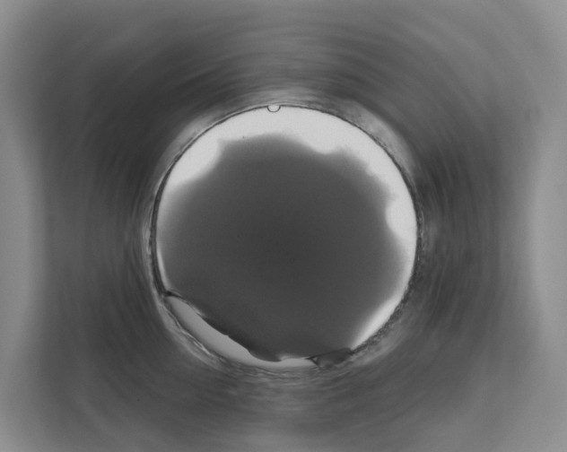 X0000111820954200909031448