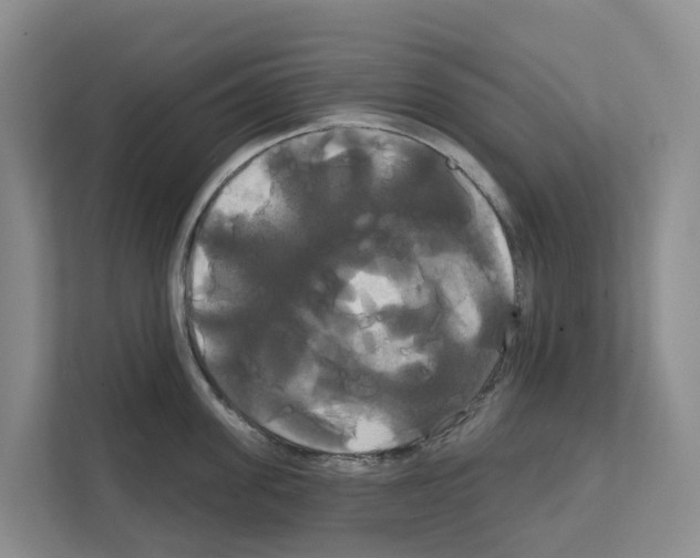 X0000111820955200909031448