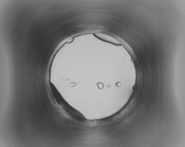 X0000111820956200909031448