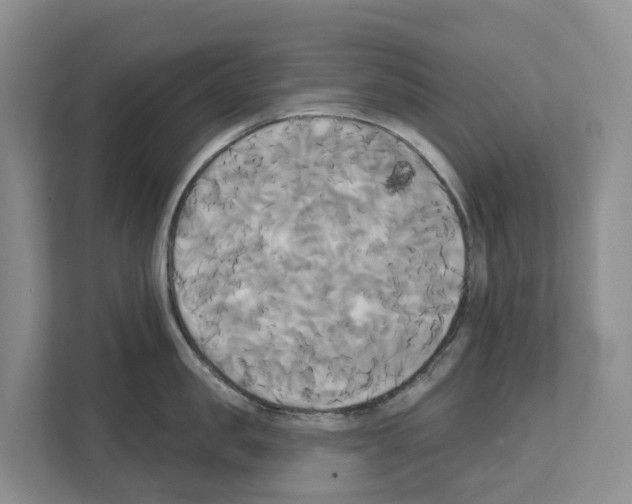 X0000111820957200909031448