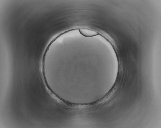 X0000111820958200909031448