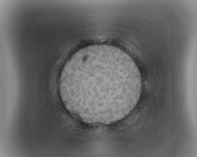 X0000111820961200909031447