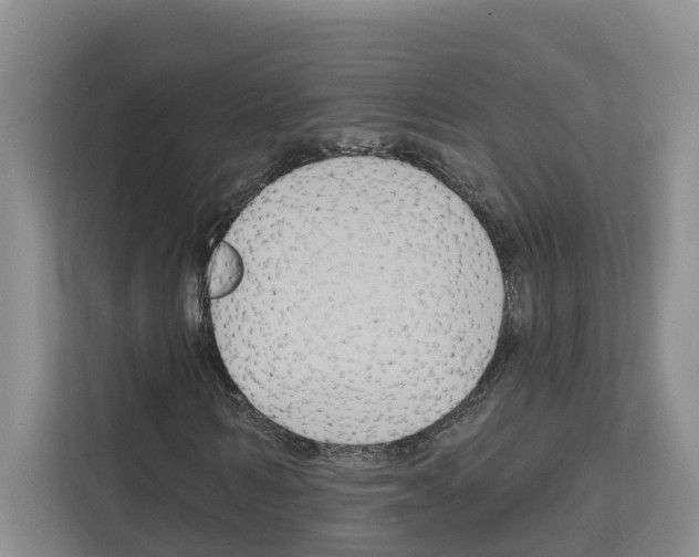 X0000111820962200909031447