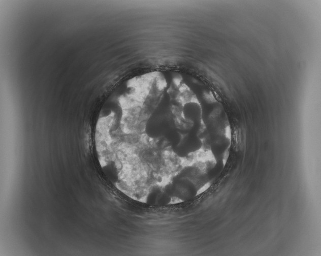 X0000111820963200909031447