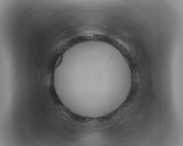 X0000111820965200909031447
