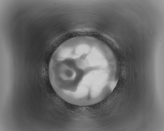 X0000111820966200909031447