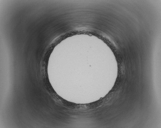 X0000111820968200909031447