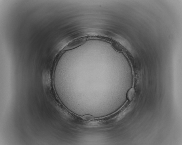 X0000111820969200909031447