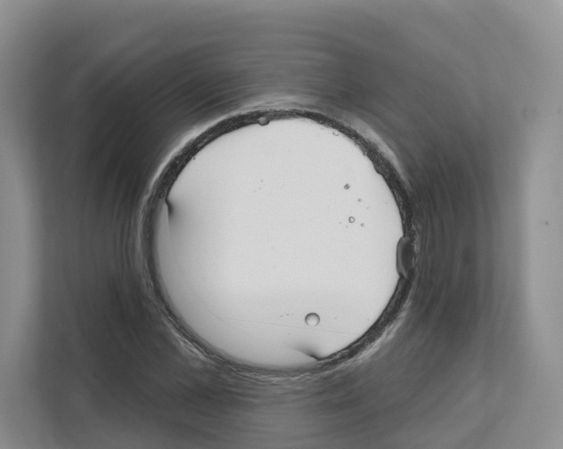 X0000111820973200909031447
