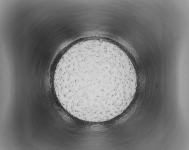 X0000111820974200909031447