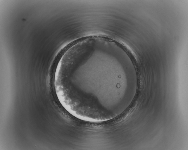 X0000111820975200909031447