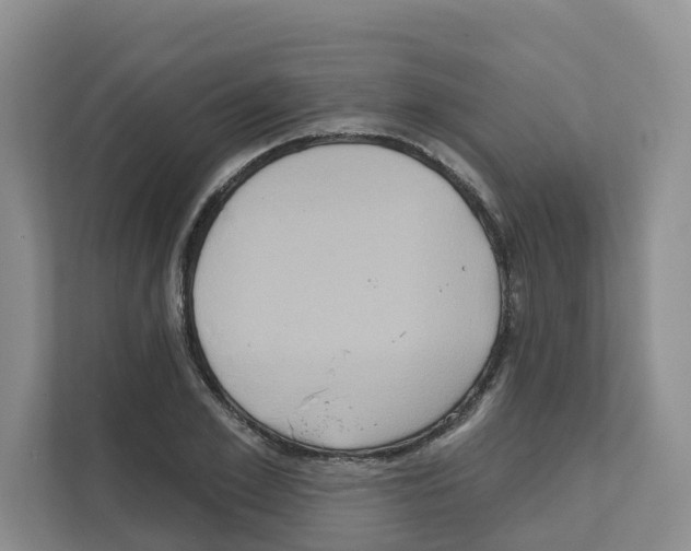 X0000111820981200909031447