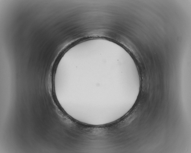 X0000111820984200909031447