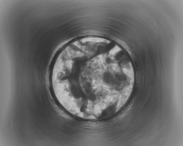 X0000111820987200909031447