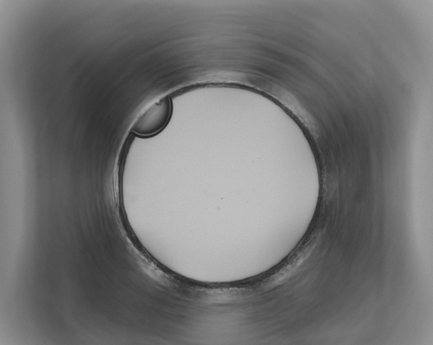 X0000111820988200909031447