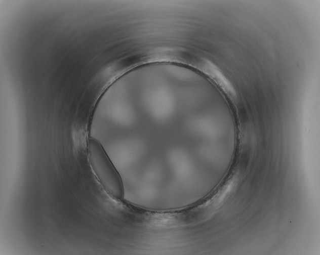X0000111820993200909031447