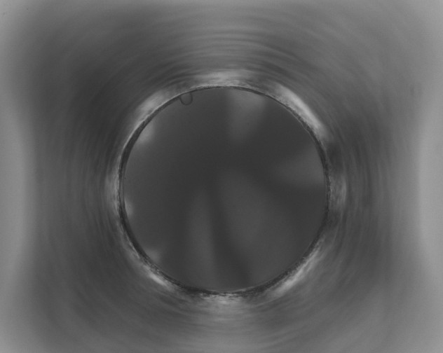 X0000111820994200909031447