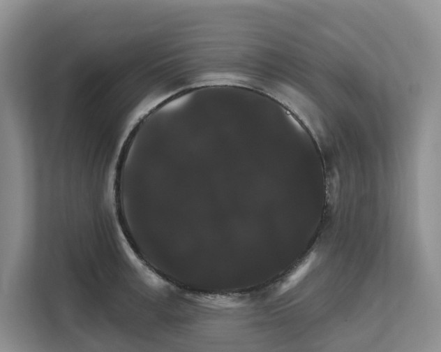 X0000111820995200909031447