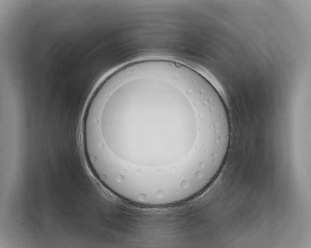 X0000111820996200909031447