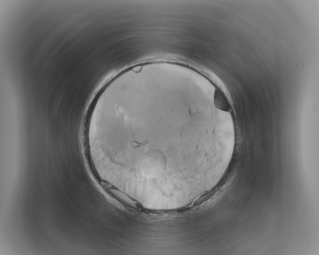 X0000111820997200909031447