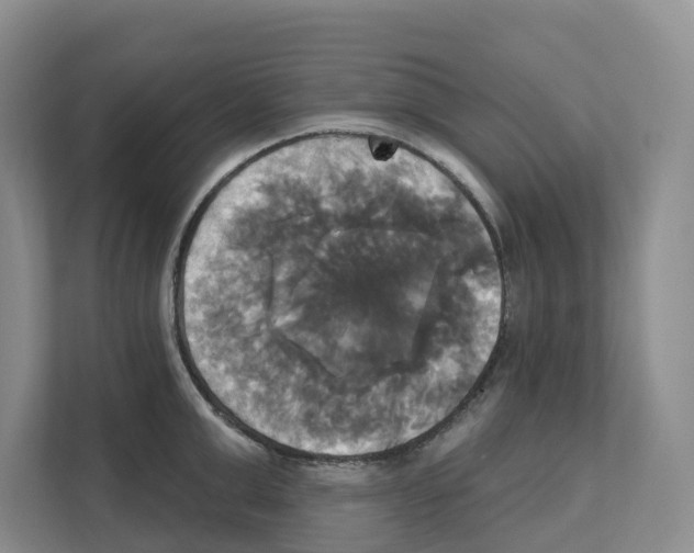 X0000111820999200909031447
