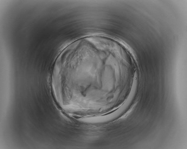 X0000111821001200909031447