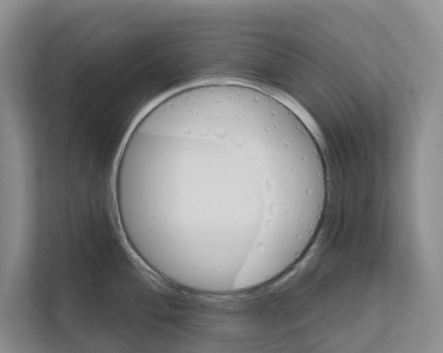X0000111821004200909031447