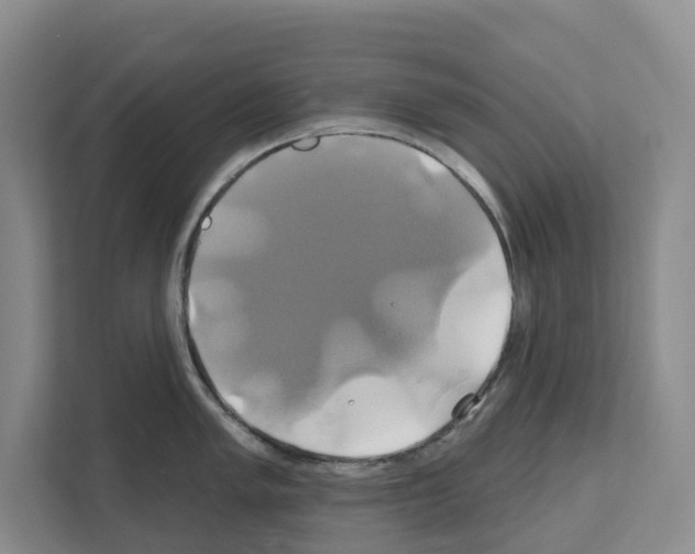 X0000111821005200909031447