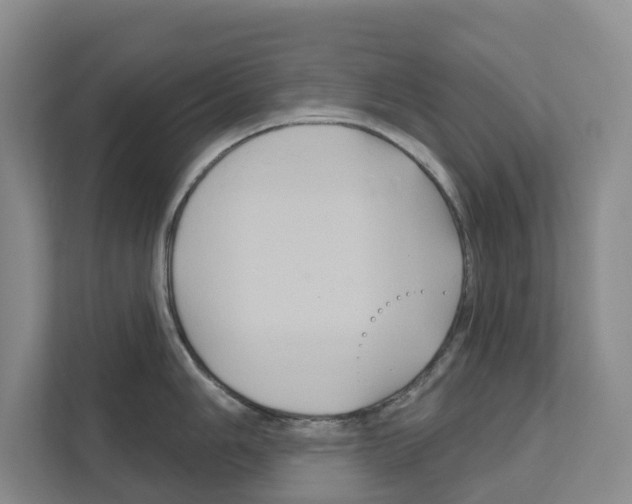 X0000111821006200909031447
