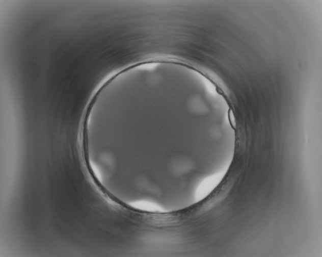 X0000111821007200909031447