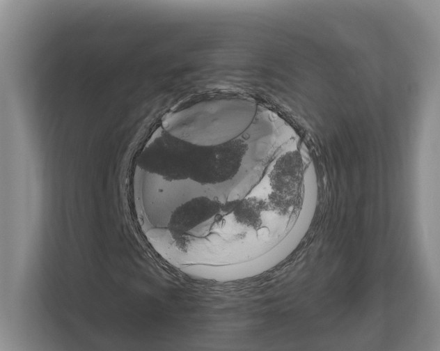 X0000111821009200909031446