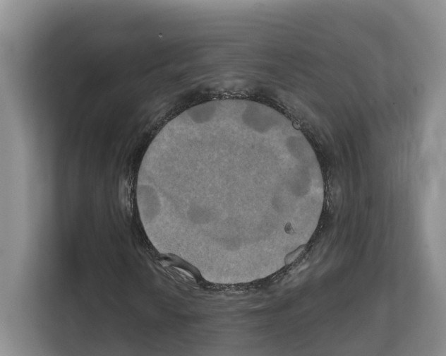 X0000111821010200909031446