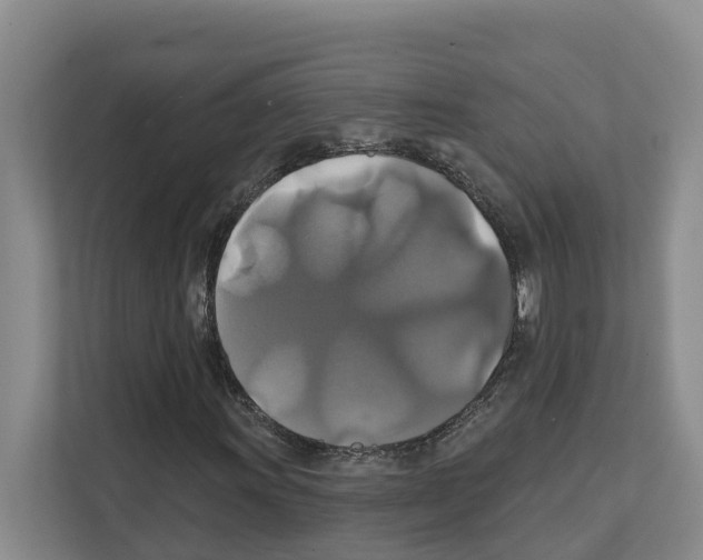 X0000111821011200909031446