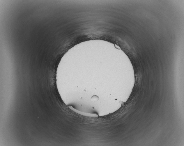 X0000111821012200909031446