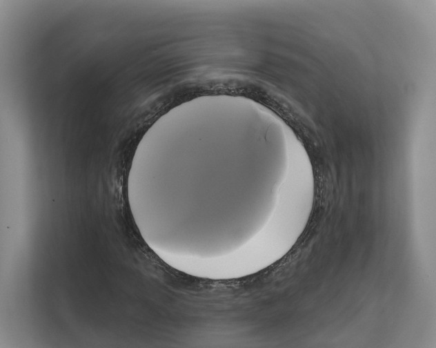 X0000111821013200909031446