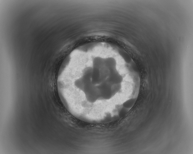 X0000111821014200909031446