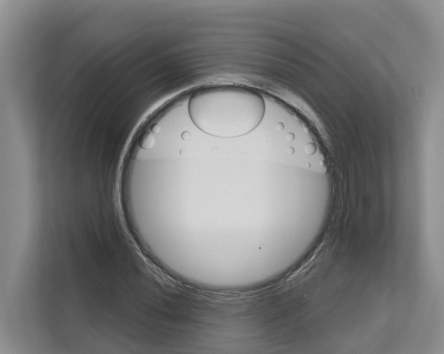 X0000111821020200909031446