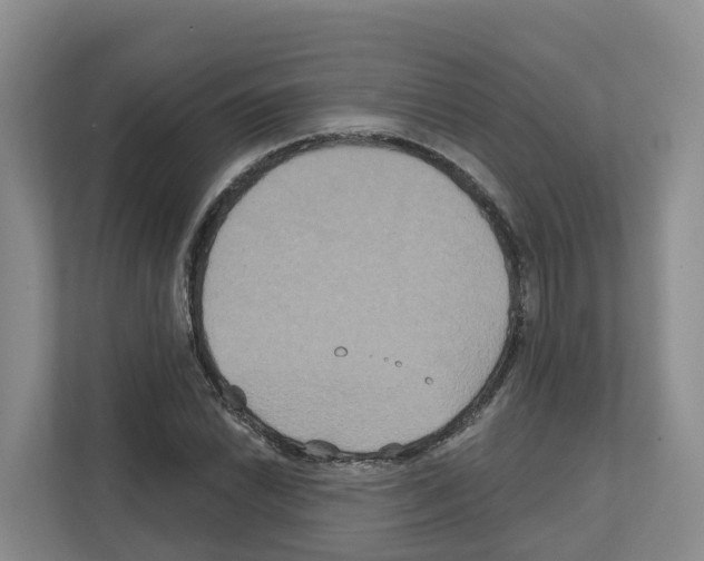 X0000111821022200909031446