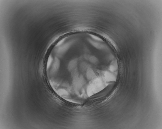 X0000111821023200909031446