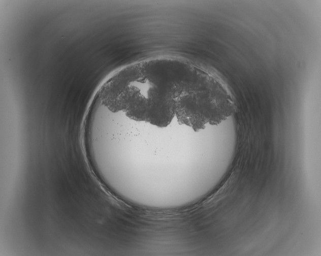 X0000111821024200909031446