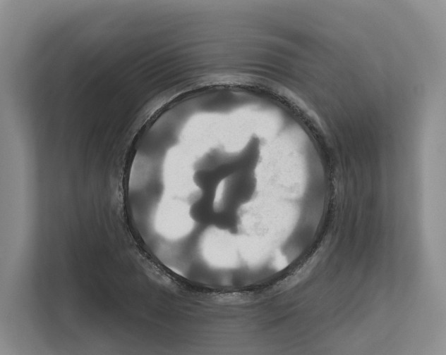 X0000111821025200909031446