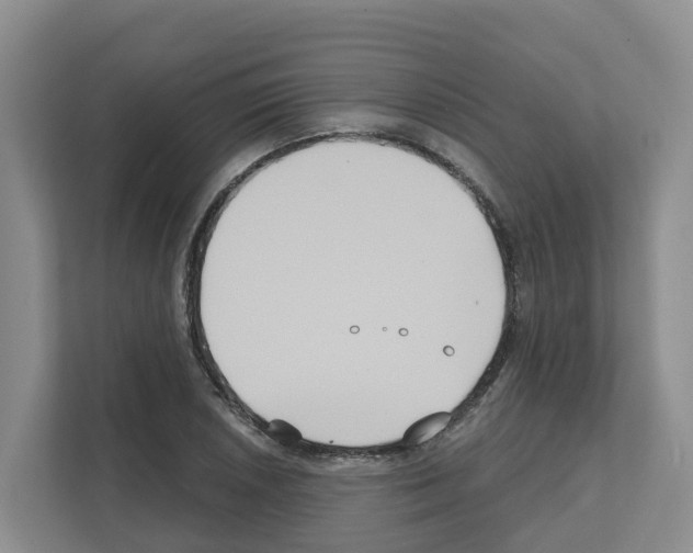 X0000111821026200909031446
